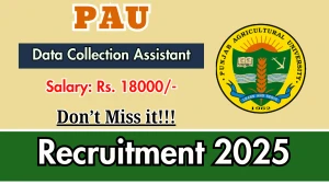 PAU Data Collection Assistant Recruitment 2025 - Apply Online PAU Data Collection Assistant Recruitment 2025 - Apply Online