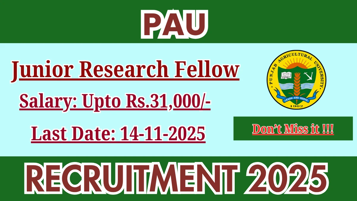 PAU Junior Research Fellow Recruitment 2025 - Apply Offline