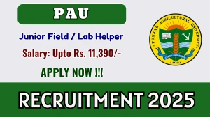 PAU Recruitment 2025 - Apply Offline for  Junior Field / Lab Helper Posts