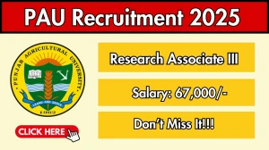 PAU Research Associate III Recruitment 2025 - Apply Offline