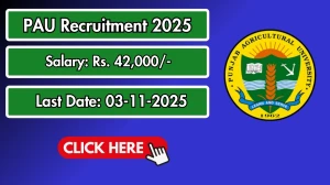 PAU Young Professional II Recruitment 2025 - Apply Offline