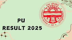 PU Result 2025 Out at puexam.in Direct Link to Download 1st, 2nd, 3rd, 4th, 5th, 6th Sem Result