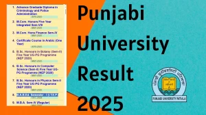 Punjabi University Result 2025 Out at pupexamination.ac.in Direct Link to Download 1st, 2nd and 8th Semester Result