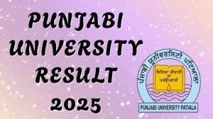 Punjabi University Result 2025 Out at pupexamination.ac.in Direct Link to Download 1st and 3rd Semester Result