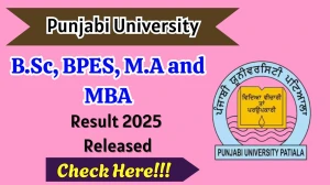 Punjabi University Result 2025 Out at pupexamination.ac.in Direct Link to Download 1st to 6th Semester Result
