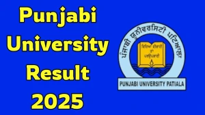 Punjabi University Result 2025 Out at pupexamination.ac.in Direct Link to Download 2nd, 4th and 8th Semester Result