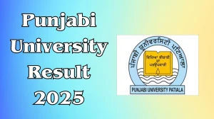 Punjabi University Result 2025 Out at pupexamination.ac.in Direct Link to Download 2nd, 4th, 6th and 8th Semester Result