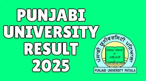 Punjabi University Result 2025 Out at pupexamination.ac.in Direct Link to Download 2nd and 4th Semester Result