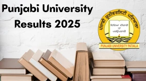 Punjabi University Result 2025 Out at pupexamination.ac.in Direct Link to Download 2nd and 4th Semester Result