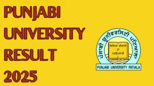 Punjabi University Result 2025 Out at pupexamination.ac.in Direct Link to Download Even Semester Result