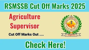RSMSSB Agriculture Supervisor Cut Off Marks 2025 has released: Check Cut off Marks here rssb.rajasthan.gov.in