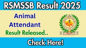 RSMSSB Animal Attendant Result 2025 Out at rssb.rajasthan.gov.in, Direct Link to Download Result PDF Here