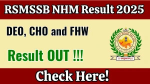 RSMSSB NHM DEO, CHO and FHW Result 2025 Declared: Download at rssb.rajasthan.gov.in RSMSSB NHM DEO, CHO and FHW Result 2025 Declared: Download at rssb.rajasthan.gov.in
