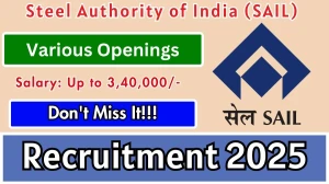 SAIL Director Recruitment 2025 - Apply Offline