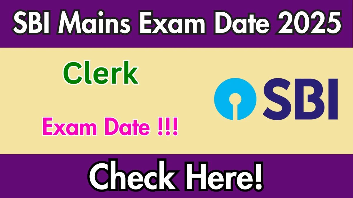 SBI Clerk Mains Exam Date 2025 at sbi.co.in – Check Exam Details for 6589 Vacancies SBI Clerk Mains Exam Date 2025 at sbi.co.in – Check Exam Details for 6589 Vacancies