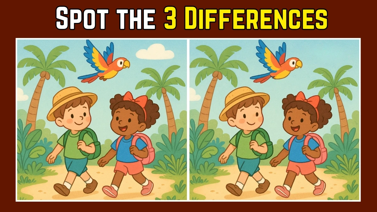 Spot the 3 Difference: Only 1 in 10 people can find all the differences in 12 Seconds