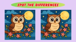 Spot the 3 Difference: Only 1 in 10 people can find all the differences in 12 Se...