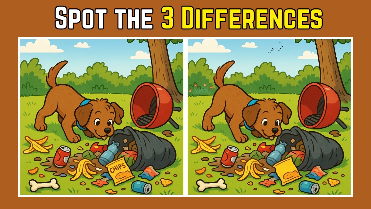 Spot the 3 Difference: Only 1 in 10 People Can Find All the Differences in 12 Seconds
