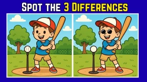 Spot the 3 Difference: Only 5 out of 50 can spot the 3 differences in the Boy pl...