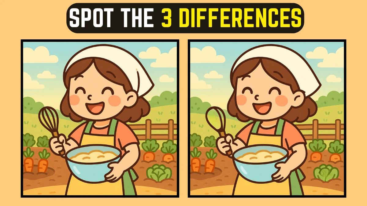 Spot the 3 Differences in Cooking Girl Pictures – Beat the 15-Second Challenge!