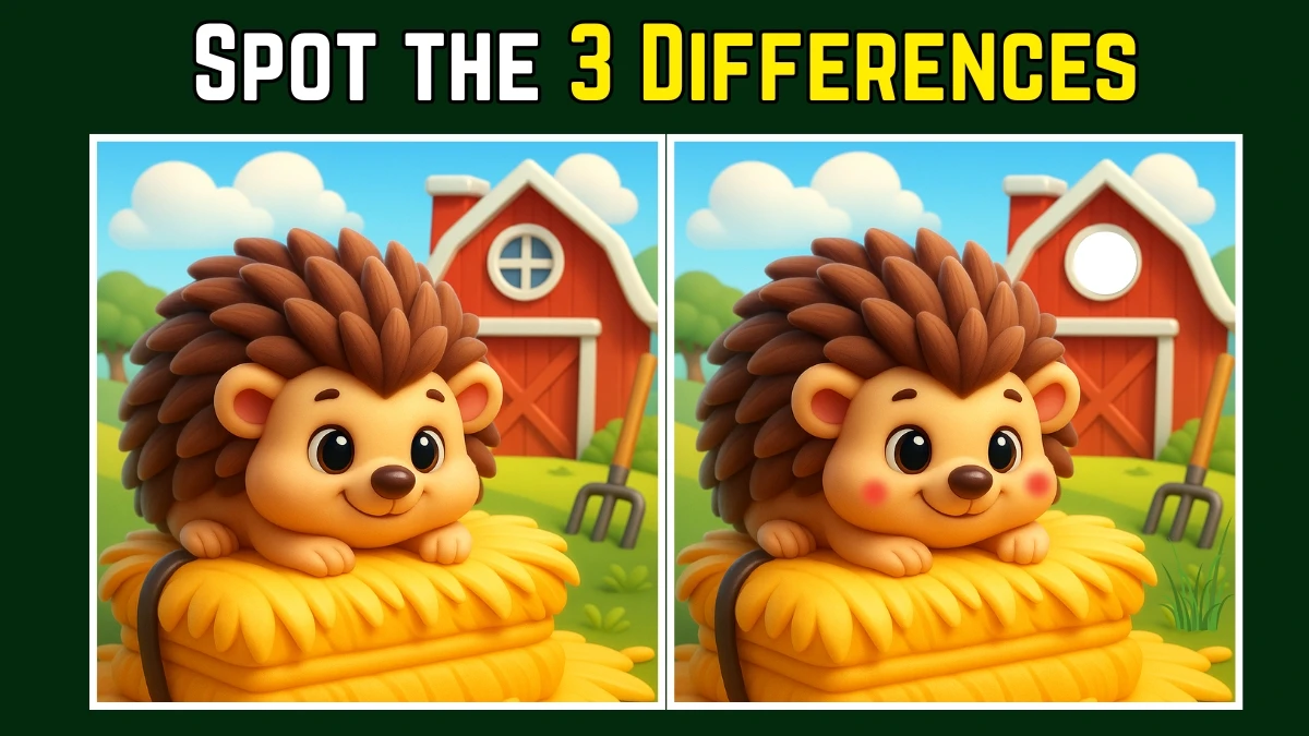 Spot the Difference: Only 5 in 10 people can find the 3 differences in this hedgehog Image in 10 Seconds