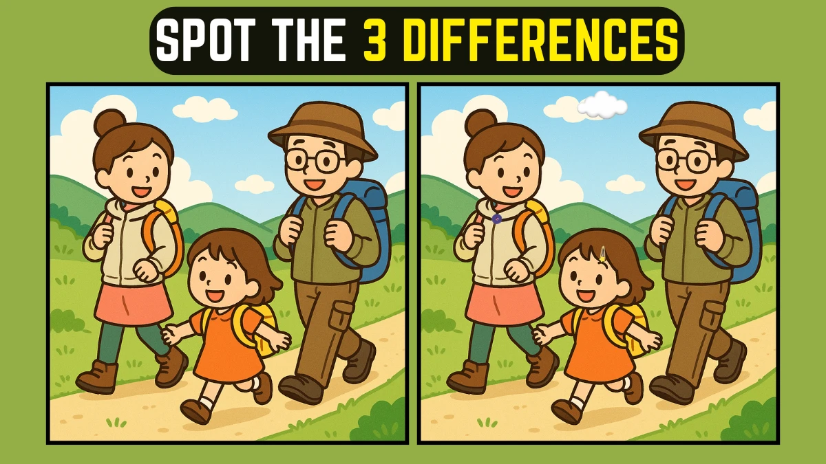 Spot the Difference: Within 8 Seconds Spot The 3 Differences in this Family Vacation Image