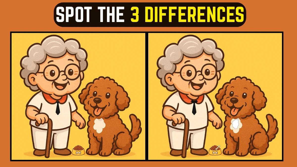 Spot the Difference: Within 8 Seconds Spot The 3 Differences in this Grandma with her Dog Image