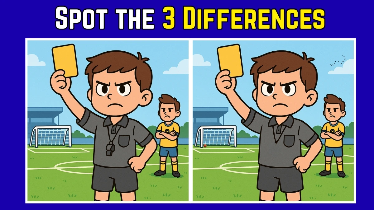 Spot the Difference: Within 9 Seconds Spot The 3 Differences in this Referee Image