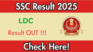 SSC LDC Exam 2024 Result Announced: Here’s How You Can Check Your Score Right Now at ssc.gov.in SSC LDC Exam 2024 Result Announced: Here’s How You Can Check Your Score Right Now at ssc.gov.in