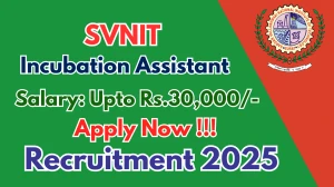 SVNIT Incubation Assistant Recruitment 2025 - Apply Offline