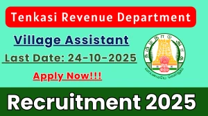 Tenkasi Revenue Department Village Assistant Recruitment 2025 - Apply Offline for 38 Posts