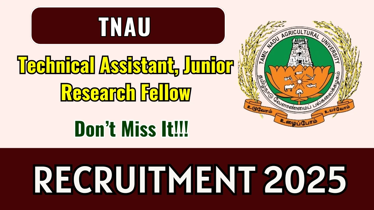 TNAU Recruitment 2025 – Walk in for 02 Technical Assistant, Junior Research Fellow Posts TNAU Recruitment 2025 – Walk in for 02 Technical Assistant, Junior Research Fellow Posts