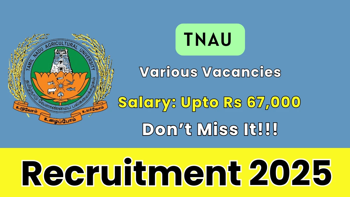 TNAU Recruitment 2025 – Walk in for 03 Research Associate, Senior Research Fellow and Other Posts TNAU Recruitment 2025 – Walk in for 03 Research Associate, Senior Research Fellow and Other Posts