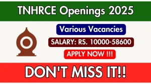 TNHRCE Recruitment 2025 - Apply Offline for 26 Driver, Typist and More Posts TNHRCE Recruitment 2025 - Apply Offline for 26 Driver, Typist and More Posts
