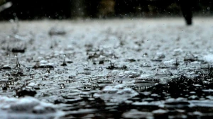 Tomorrow (28 October), School Holiday In Kerala: Is Schools Will Be Closed In Ko...