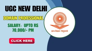 UGC New Delhi Domain Professional Recruitment 2025 - Apply Online for 17 Posts
