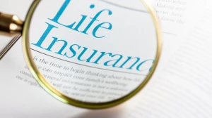 US Life Insurers, Not LIC, Led Recent Investments in Adani Group