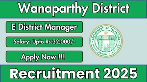 Wanaparthy District E District Manager Recruitment 2025 - Apply Online