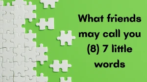What friends may call you 7 Little Words 8 letters Answer