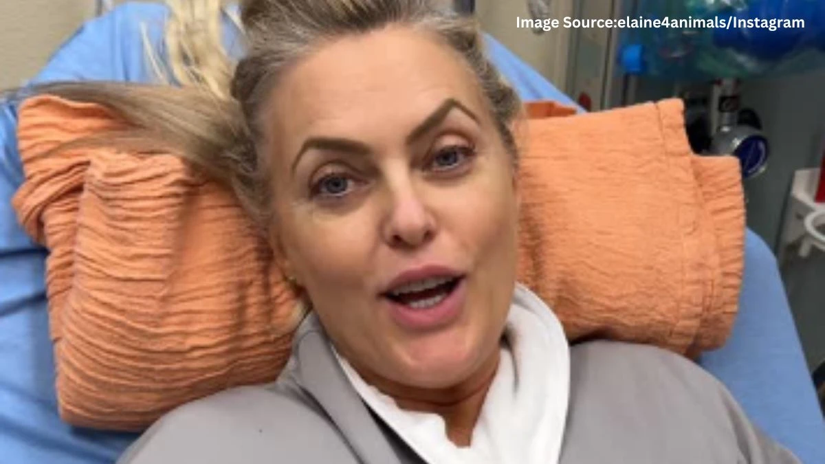 What Happened to Elaine Hendrix on Dancing with the Stars? Everything You Need to Know