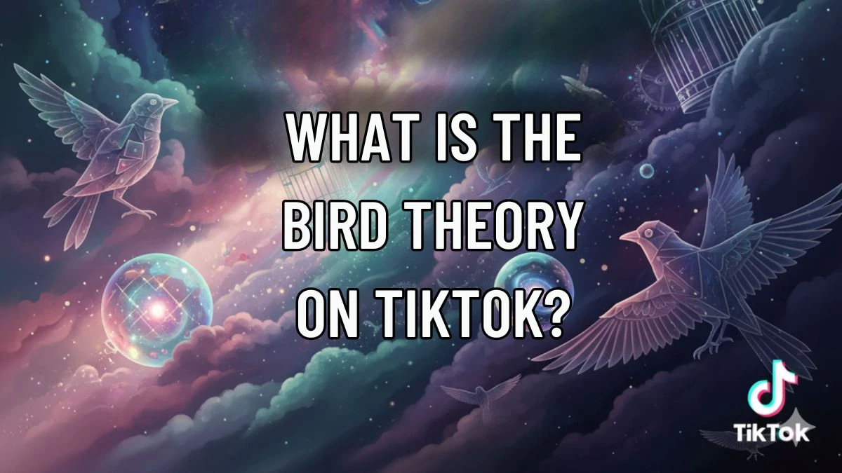 What Is the Bird Theory on TikTok? Viral Trend Explained