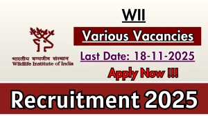 WII Recruitment 2025 - Apply Offline for 06 Technician, Lab Attendant and More Posts