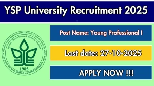 YSP University Young Professional I Recruitment 2025 – Walk in