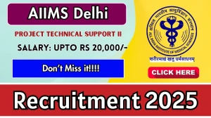 AIIMS Delhi Project Technical Support II Recruitment 2025 - Apply Online for 01 Posts