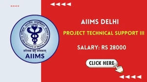AIIMS Delhi Project Technical Support III Recruitment 2025 - Apply Offline