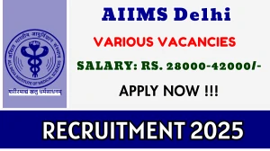 AIIMS Delhi Recruitment 2025 - Apply Online for 02 Senior Project Associate, Project Technical Support III Posts AIIMS Delhi Recruitment 2025 - Apply Online for 02 Senior Project Associate, Project Technical Support III Posts