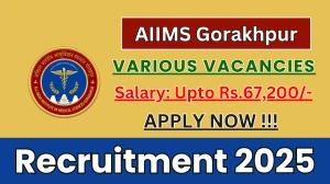 AIIMS Gorakhpur Recruitment 2025 - Apply Online for 07 DEO, Project Research Scientist and More Posts