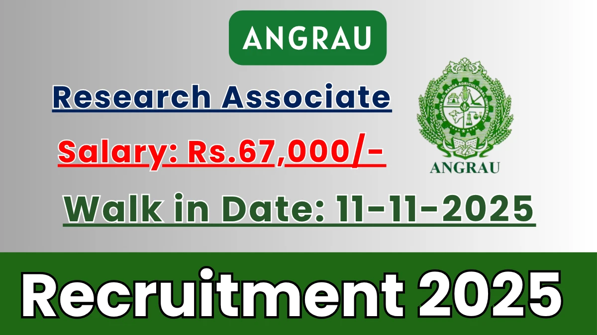 ANGRAU Research Associate Recruitment 2025 – Walk in