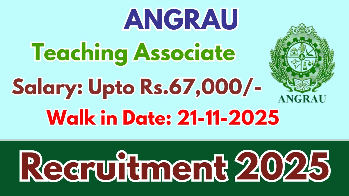 ANGRAU Teaching Associate Recruitment 2025 – Walk in