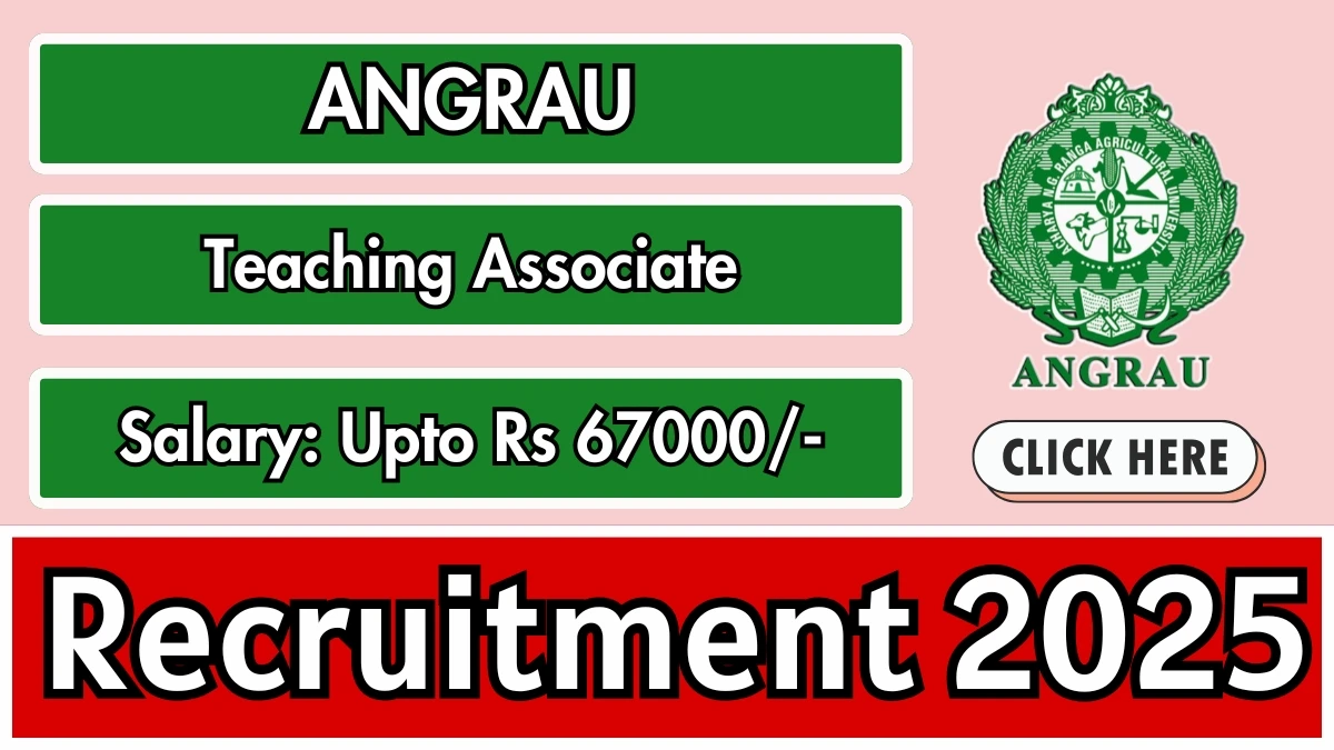 ANGRAU Teaching Associate Recruitment 2025 – Walk in